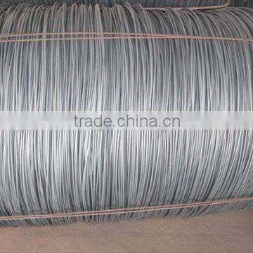 Cold Rolled Coil photo-4