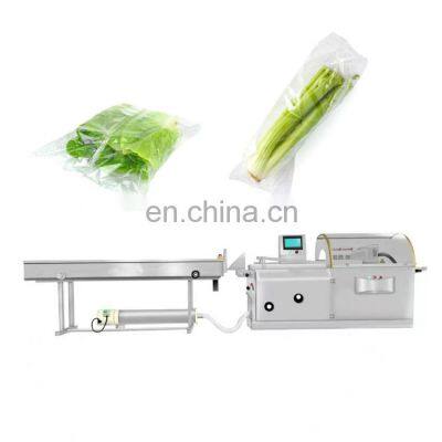 SOULYAM  BRAND Bag Fresh or Dry Fruit Vegetables Carrot Pouch Horizontal Packing Packaging Machine