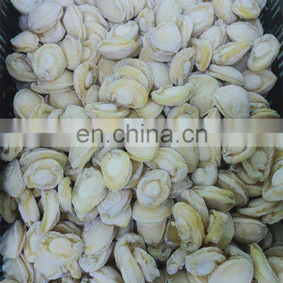 IQF Frozen Abalone in Shell for Sale photo-5