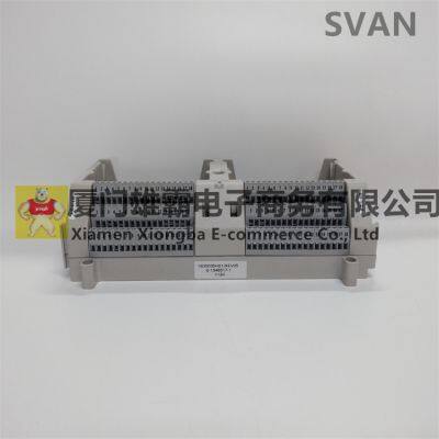 1C31232G02 Digital Input Module EMERSON photo-2