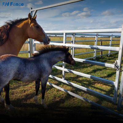 Großhandel von Rinderpanelen, verzinkt, hochwertig, verzinkte Viehrinderpanelen, gebrauchte Gehegepanelen