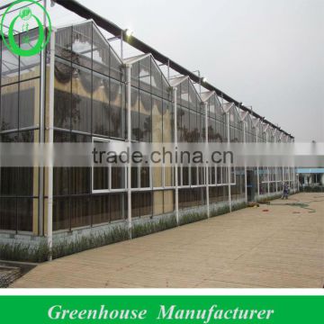 Commercial Greenhouse for Sale