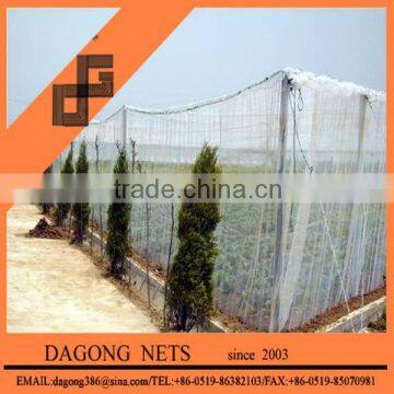 Anti insect net