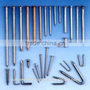 The factory sales High quality nail.common nail/fence staples u nails/nail factory