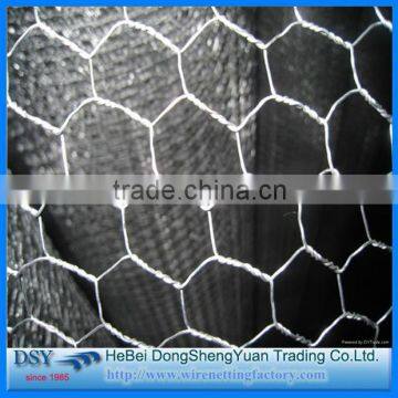 High quality chicken coop hexagonal wire mesh/dog kennel hexagonal wire mesh/chicken coop hexagonal wire mesh