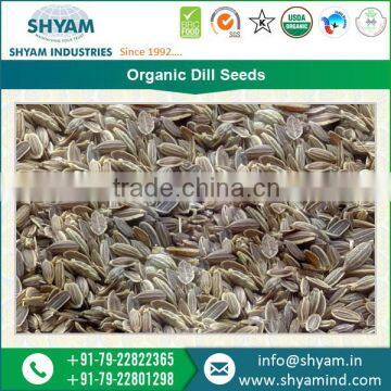 100% Natural and Organic Range of Organic Dill Seeds