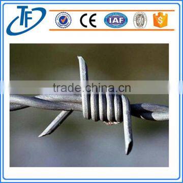 Security Standard Galvanized and PVC Coated Roll Barbed Wire Made in China