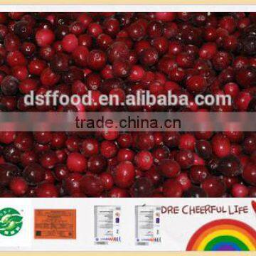 2015 Chinese iqf frozen lingonberry