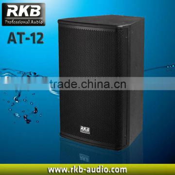 AT-12 97dB audio pro stage speaker