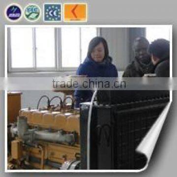 Coal Gas Fuel 1200rpm Gas Generator