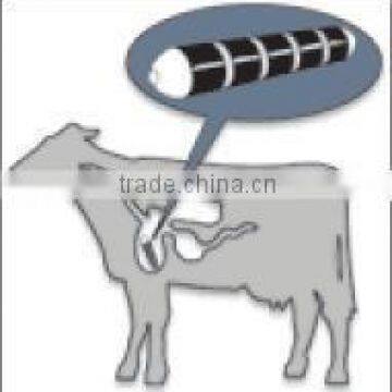 Y30BH Ferrite magnets, cow rumen magnets