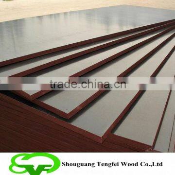 Decorative Concrete Plywood