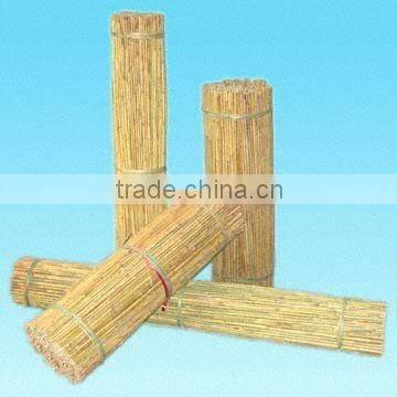 Natural Bamboo Stake - Tonkin bamboo cane