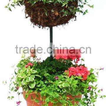 Sphagnum Moss pole basket