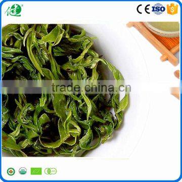 Best Green Tea Brands as Healthy Organic Green Tea photo-3