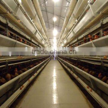 Turnkey controlled poultry chicken farm