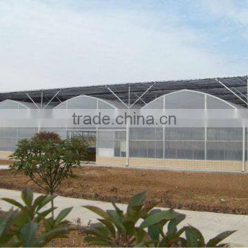 Plastic Film Greenhouse Polyethylene Film Multi Span Agriculture Greenhouse