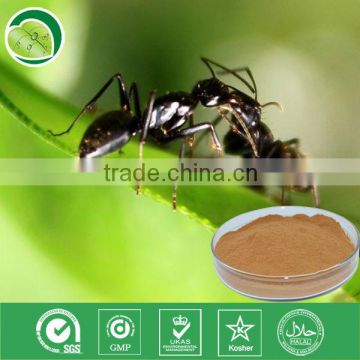 10:1,polyphenols,Formic acid/black ant extract powder for black ant pill