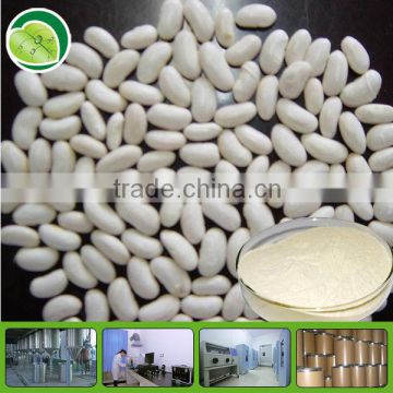 GMP supply white kidney bean extract powder