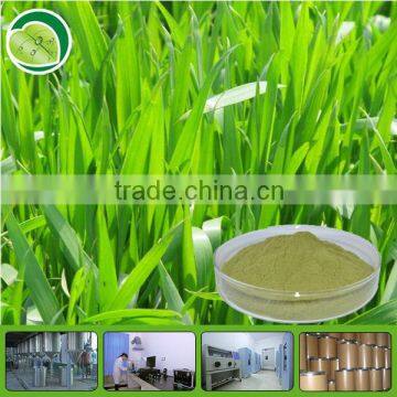 GMP factory barley grass powder extract