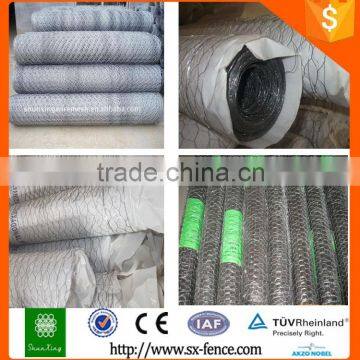 PVC Coated Hexagonal Wire Netting/Hexagonal Wire Mesh/Hexagonal Chicken Wire Mesh