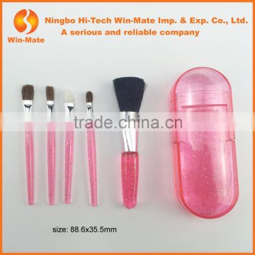 5pcs in plastic box translucent pink FREE samples nylon Hair makeup brush set with OEM design