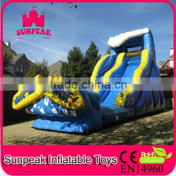 Giant Inflatable Water Slide For Adult