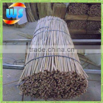 4ftX8-10mm Tonkin bamboo cane support flower