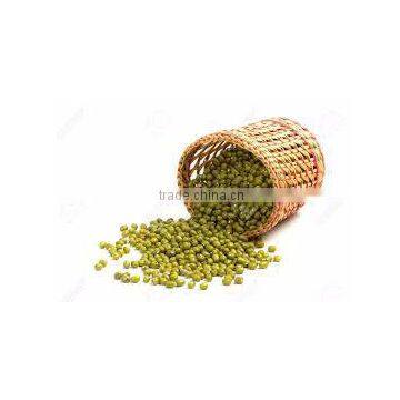 GREEN MUNG BEANS