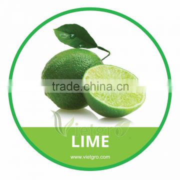 HIGH QUALITY FRESH GREEN LIME // FRESH SEEDLESS LIME// VIETNAMESE FRESH FRUITS