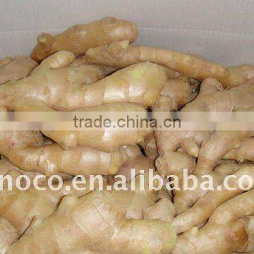 Air Dry Ginger (250g)