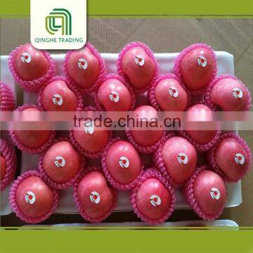 wholesale china fresh fuji apple with average price