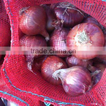 yellow onion ( Red - Yellow - White - spring onion )