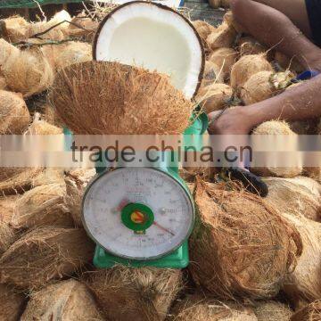 semi husked coconut, best quality, cheap price