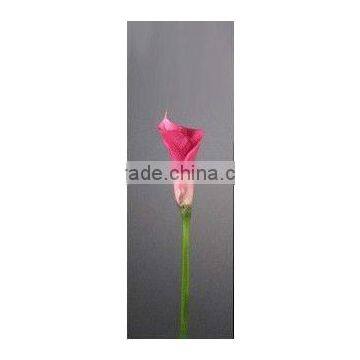 Real Touch Calla Lily /Real Touch Medium Calla Lily/PU soft touch/real touch flower