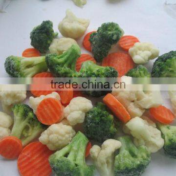 IQF Mix Vegetables 2015 Years photo-3