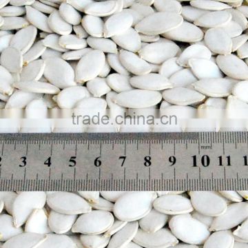 Wholesale pumpkin seeds snow white price