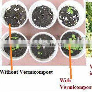 Vermicompost organic for nursery suppliers