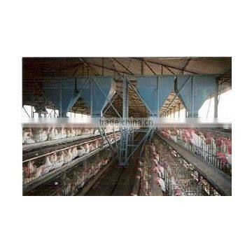 Poultry cage Feeding System