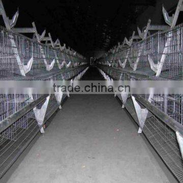 bird cage wire mesh