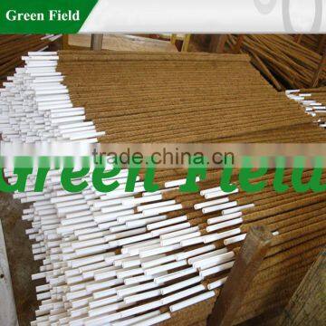 Wholesale Coconut Plant Stake photo-3