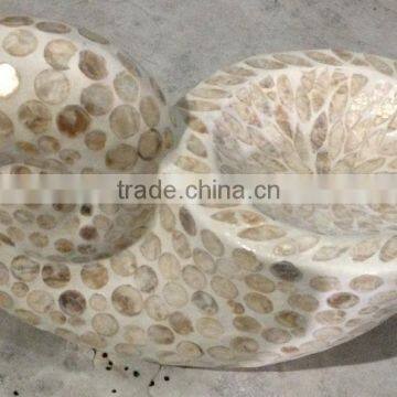 High quality best selling Mother of pearl snail image from Vietnam