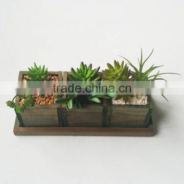 Artificial Plastic Mini Succulents Plants for Home Decoration photo-4