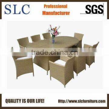 Fashionable Dining Furniture (SC-M0024)