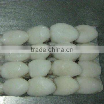 FROZEN WHOLE CLEANED BABY CUTTLEFISH FRESH OF ALO SEAFOOD Co., photo-2