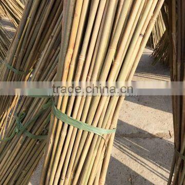 Excellent Quality Factory Price Garden Bamboo Canes for Sale photo-3