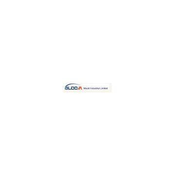Bloom Mould Co., Limited