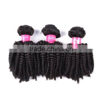 TOP Quality Best Price Fast Delivery Malaysian Afro Kinky Curl Hair Weave photo-2