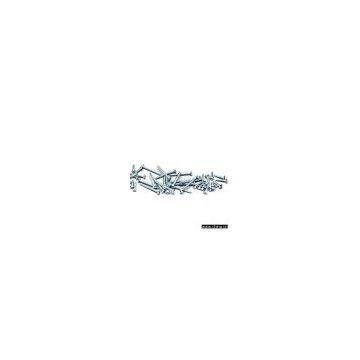 Self-Tapping Screw