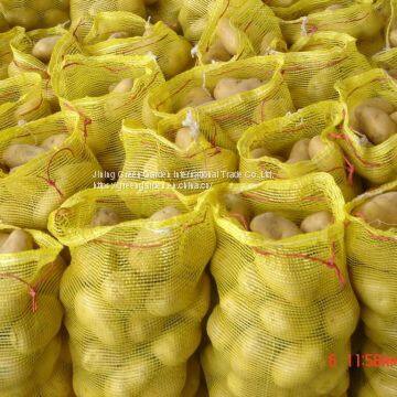 Fresh Potato photo-2